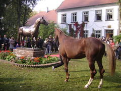 Bronzestandbild des Tempelhüter im früheren Hauptgestüt Trakehnen. Foto: D. Wiemer