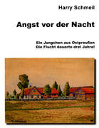 Buchtitel "Angst vor der Nacht"